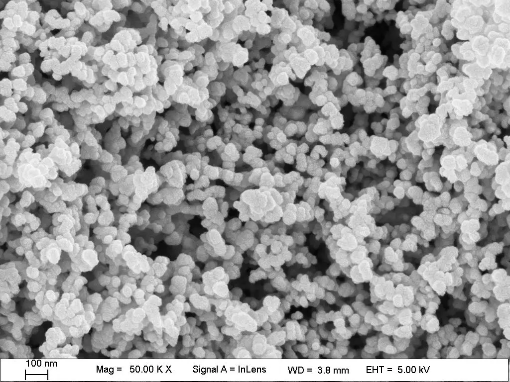Y203 Nano SEM1.jpg