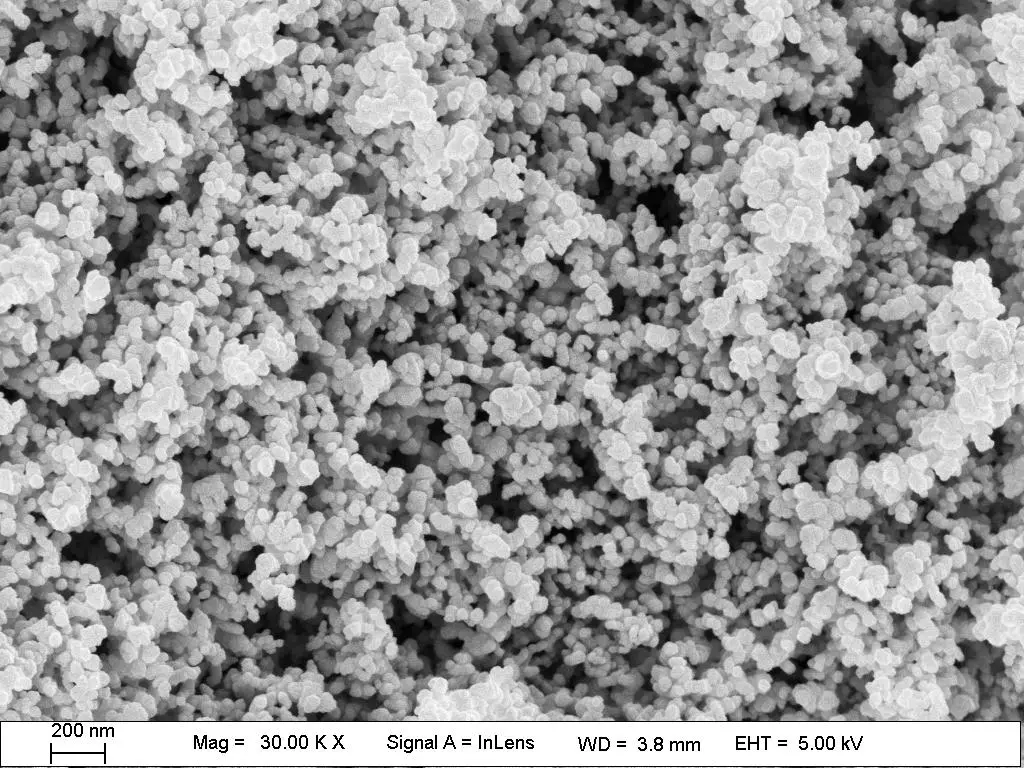 Y203 Nano SEM2.jpg
